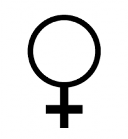 venere venere
